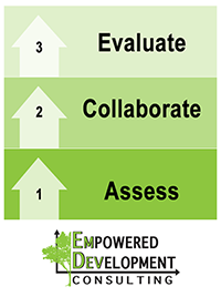 EmDev Consulting 3 tiered approach to services